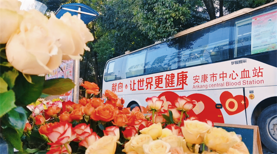 安康這三兄妹，熱血！