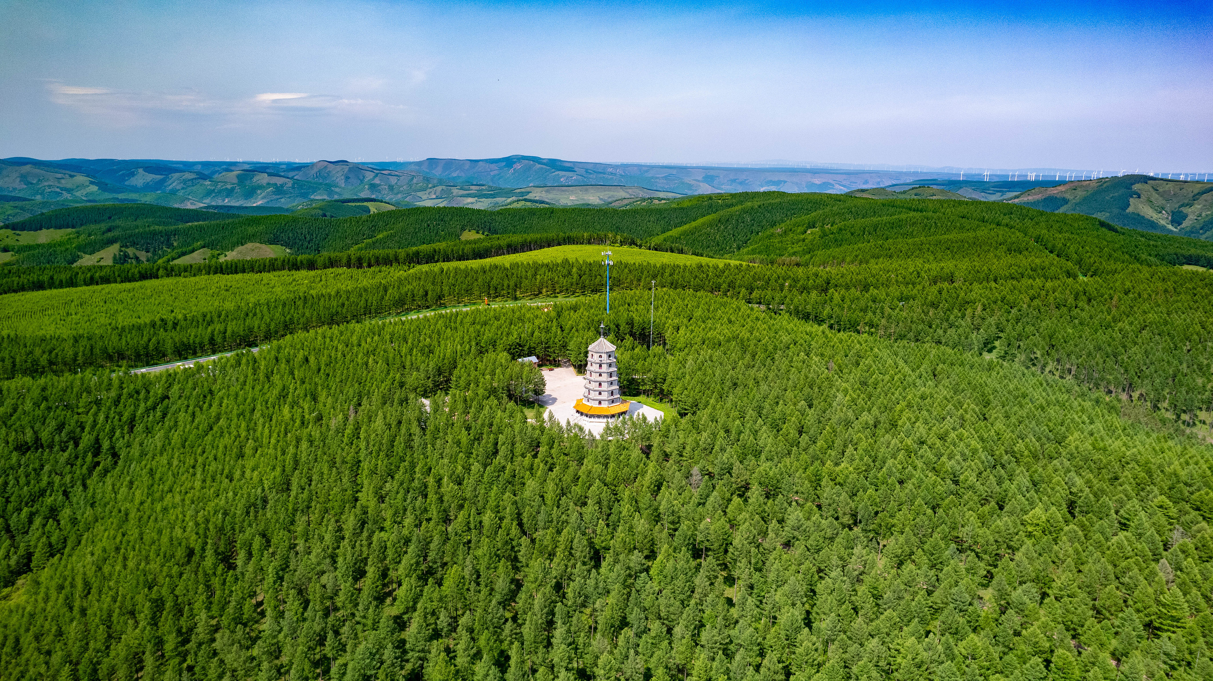 2025年6月11日，河北承德，塞罕壩林海浩渺。