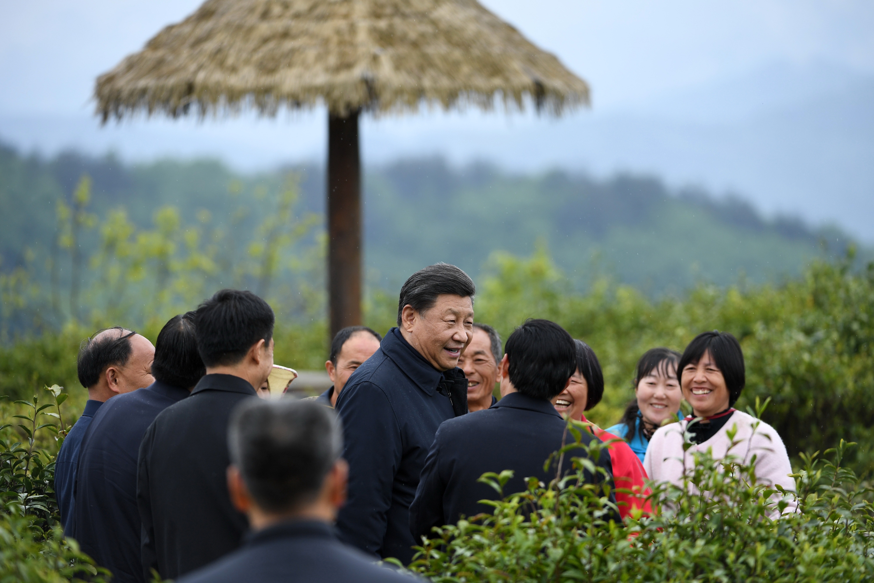2020年4月21日，習(xí)近平在安康市平利縣老縣鎮(zhèn)蔣家坪村女媧鳳凰茶業(yè)現(xiàn)代示范園區(qū)，同茶農(nóng)們親切交談。